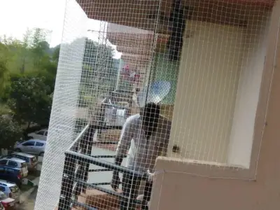Clear pigeon net protecting an open balcony in Chennai