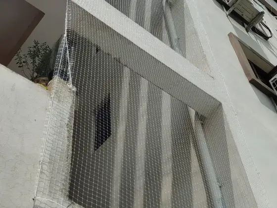 Netting sealing a service duct against sparrows and mynas (close-up view)