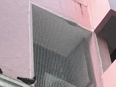 Pigeon net fitted over an apartment window in Chennai