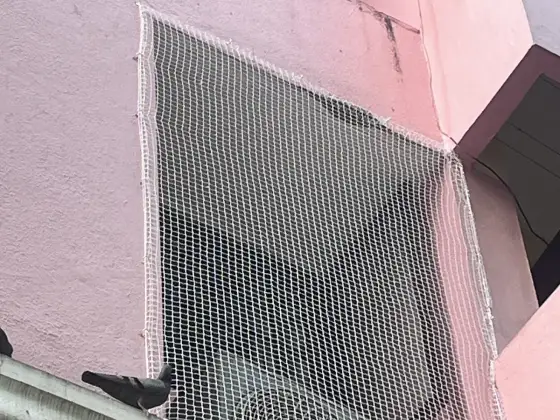 Pigeon net fitted over an apartment window in Chennai