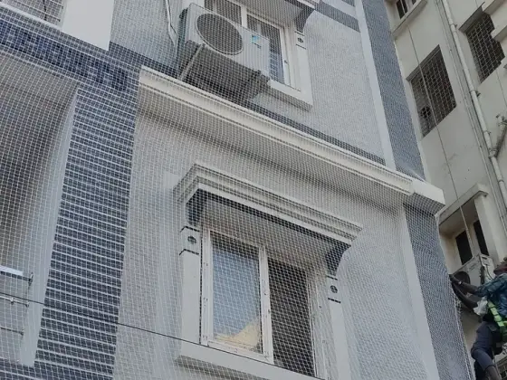Window ledge protected with a bird net