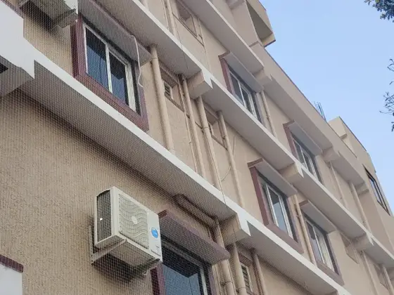 Pigeon net fitted over an apartment window (close-up view)