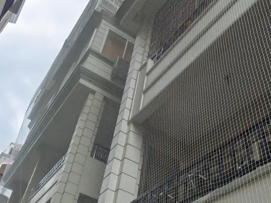 Building ledges protected with pigeon nets (close-up view)
