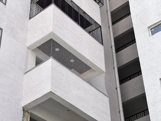 Netting on sunshades and ledges of a commercial building (close-up view)